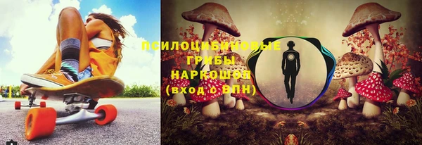 сатива Алзамай