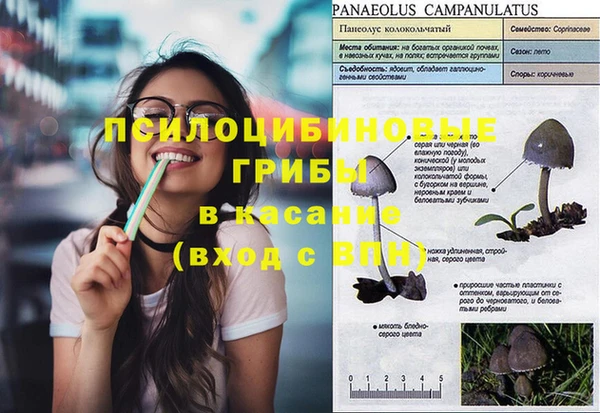 каннабис Алексеевка