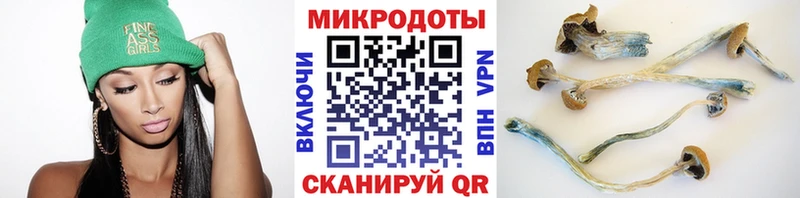 Галлюциногенные грибы Cubensis  Курчалой 